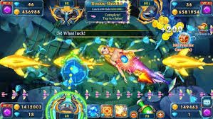mvw login